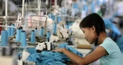 講一個扎心的真相 國家一直都在照顧底層,而底層卻在天天罵國家